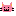 ねこ