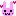 ウサギ