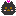ラテ