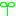 葉