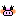 ぶーこ