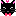 黒猫momo