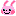 うさぎ