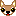 チワワ