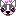 チワワ