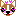 チワワ