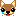 チワワ