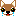 チワワ