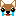 チワワ
