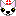 チワワ