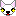 チワワ