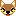 チワワ