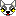 チワワ