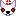 チワワ