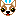 チワワ