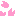 さくら