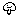 きのこ