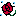 薔薇