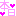 本日