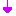↓