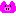 ブタ