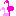 フラミンゴ