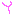 ｙ