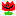 ちゅううううりっぷ