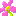 お花