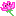 コスモス