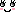顔