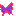 蝶