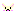 犬(白)