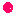 pink pepper