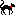 黒猫