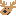 moimoi