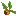 moimoi
