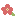 moimoi