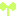 芽