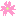 さくら