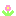 お花