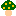 毒きのこ