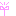 芽