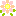 ぴんくのお花