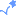 星