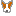 ＣＨＩＰＰＯ