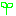 はっぱ