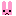 変なうさぎさん