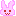 うさぎ