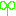 芽
